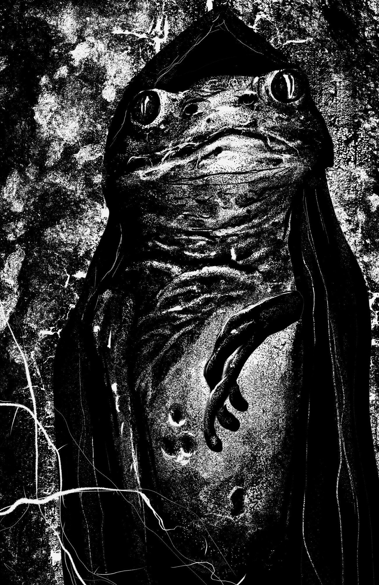 Frog Fine Art Print (Various Sizes)