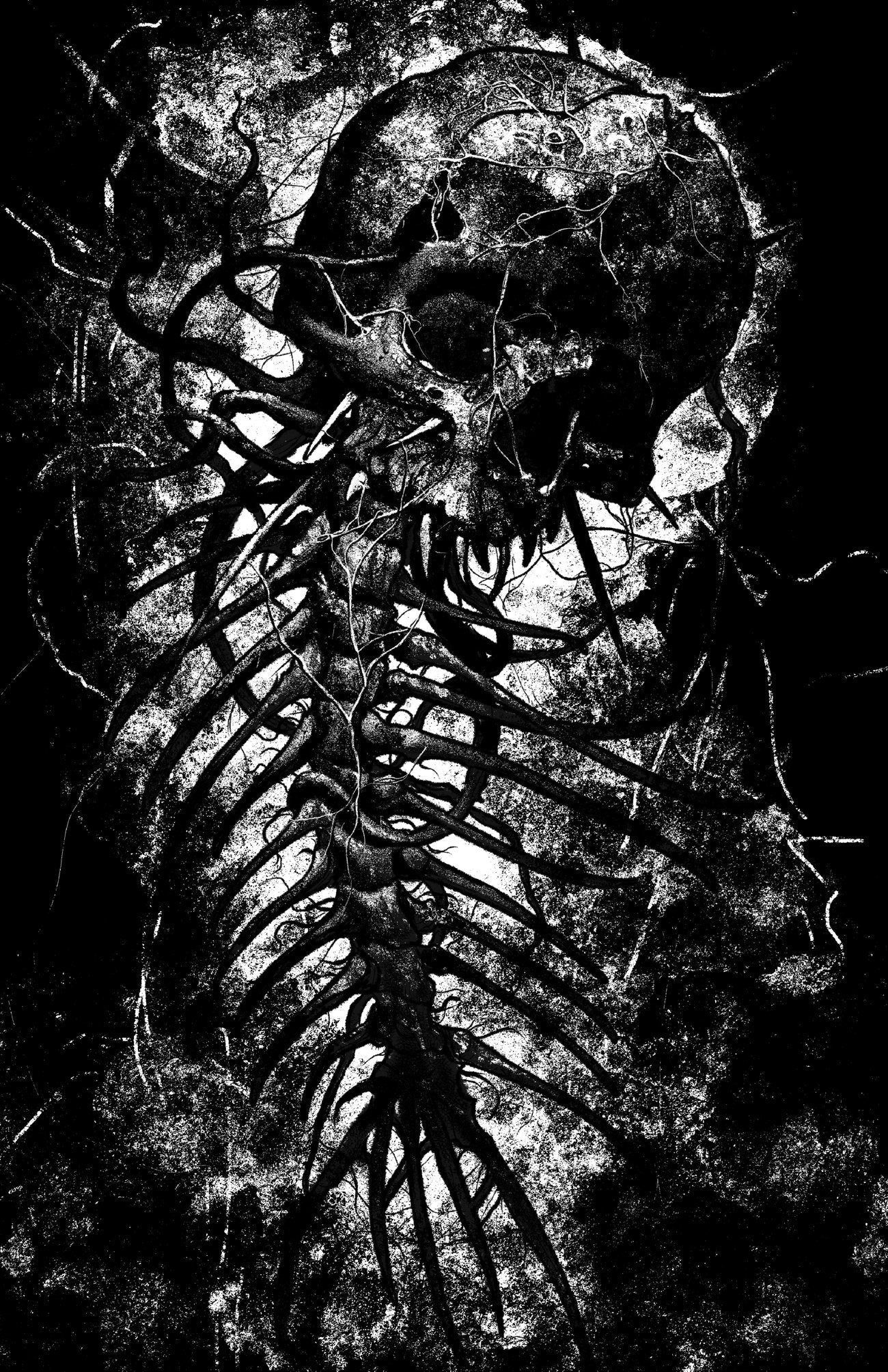 Bat Creature Fine Art Print