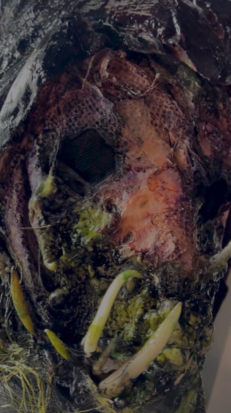 A mask and special effects piece made at Tomb Gallery