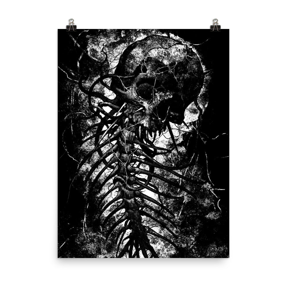 Fish Skeleton Fine Art Print